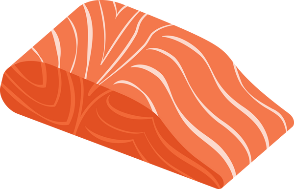 raw salmon fillet