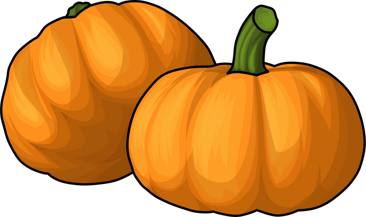 Pair of Pumpkin Illustration