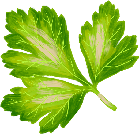 Painterly Parsley