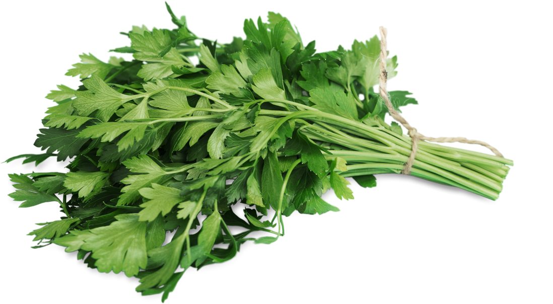 Fresh Arugula Cutout